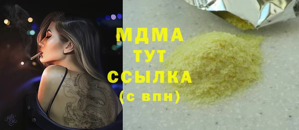 гашик Алексин