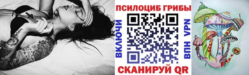 MEGA tor  наркошоп  Петухово  Галлюциногенные грибы Psilocybe 